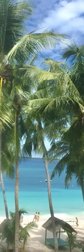 巴拉克克简易别墅旅馆，位于比拉的酒店