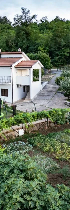 New Holiday House, near Makarska，位于Grubine的酒店