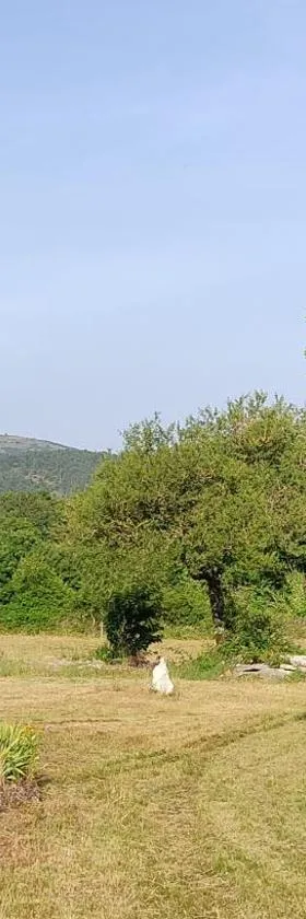 Location entre Causse et Cévennes，位于Campestre-et-Luc的酒店