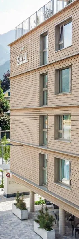 Hotel DAS SAAL，位于萨菲登安斯泰内嫩米尔的酒店