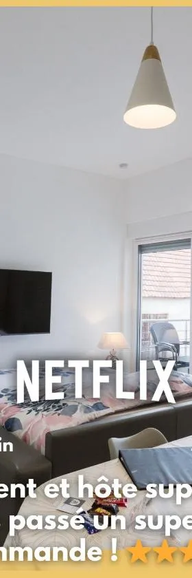 Sollaris Appartements 3P 1ère étage à 11km d'Europa-Park，位于Friesenheim的酒店