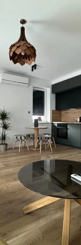 Willow Nest，位于巴拉顿菲兹弗的酒店