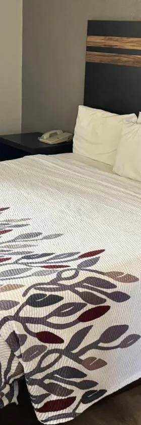 Magnuson Hotel Sierra Vista，位于谢拉维斯塔的酒店