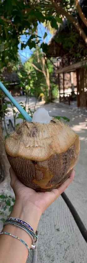 Eden Paradise，位于米查维的酒店