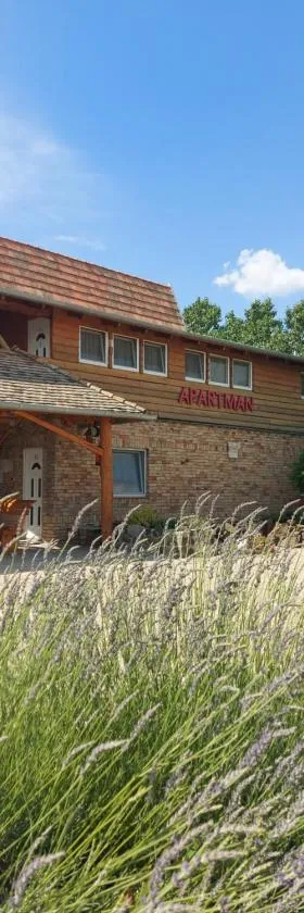 Anna Apartman，位于Maroslele的酒店