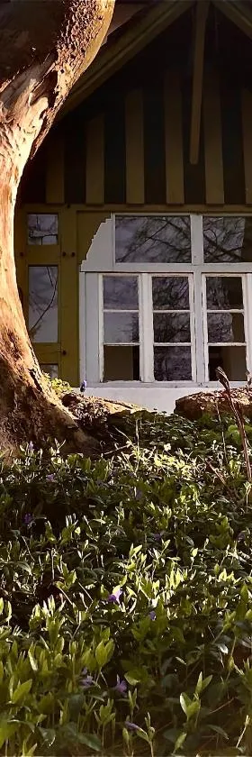 Slow life Karkonosze，位于Wojcieszyce的酒店