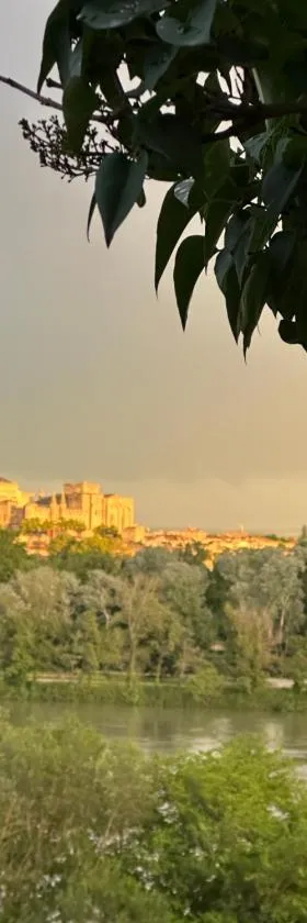 Charmante PETITE MAISON avec vue panoramique, en centre historique, proche d'Avignon, ancienne, rénovée, climatisée, terrasse, parking public gratuit，位于阿维尼翁新城的酒店