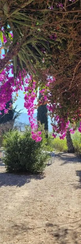 Cortijo Las Gallardas en Almería，位于Los Gallardos的酒店