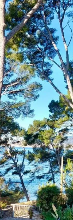 Studio Saint Cyr sur mer，位于滨海圣西尔的酒店