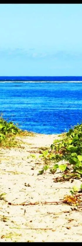 Logement bord de mer，位于圣保罗的酒店