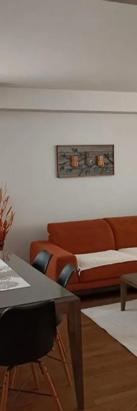 Apartman Slatina，位于图兹拉的酒店