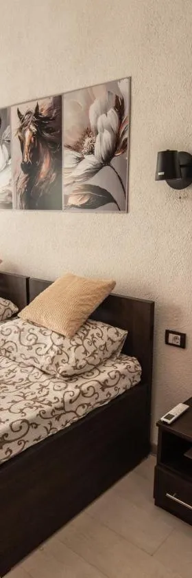 Apartmani DB na Limu, Prijepolje，位于Prijepolje的酒店