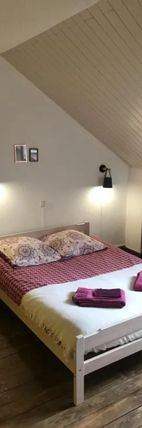 Chambre Verdaguere，位于Auzat的酒店