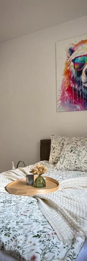 Polar Bear Apartment，位于苏瓦乌基的酒店