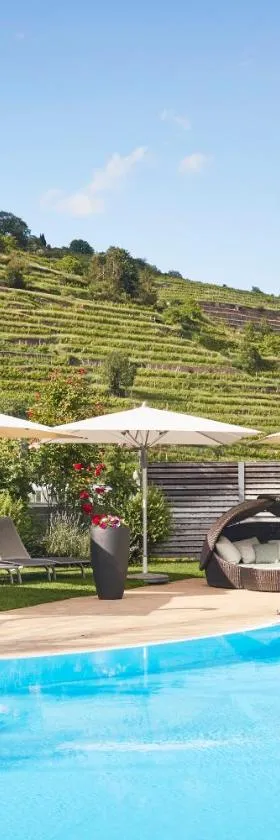 Steigenberger Hotel & Spa Krems，位于多瑙河畔克雷姆斯的酒店