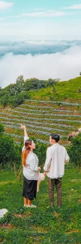 ภูแสงเทียน โฮมสเตย์，位于Ban Pang Hai的酒店