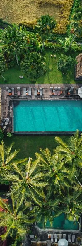 The Artini Dijiwa Ubud，位于乌布的酒店