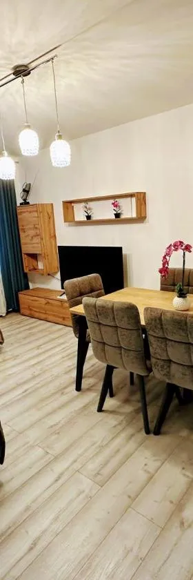 Apartment Marija，位于瓦拉日丁的酒店