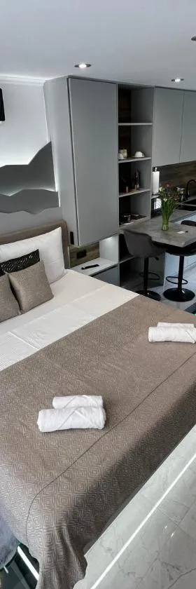 La Luna Petite Suite Deluxe with Free Jacuzzi, Bikes & Covered Parking，位于Našice的酒店