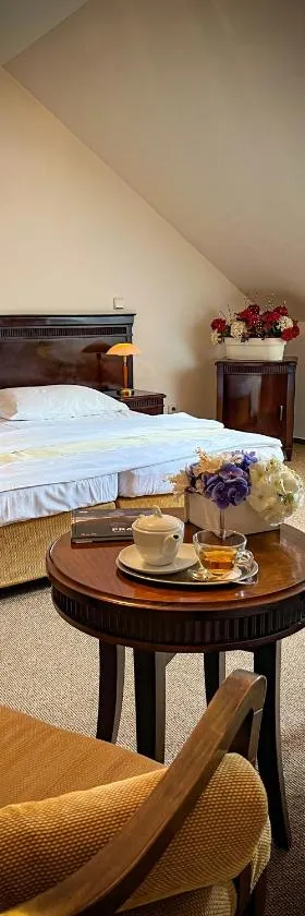 Hotel U Zeleneho stromu，位于Nepomuk的酒店