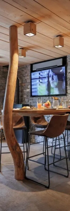Lodge plein pied avec jardin à 10min de Chamonix，位于塞尔沃兹的酒店