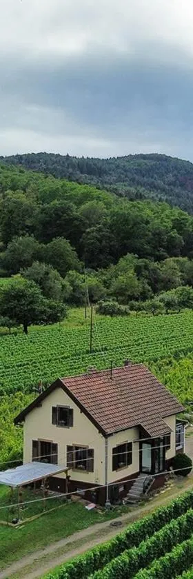 DANDELION Bed & Breakfast，位于希伯维列的酒店