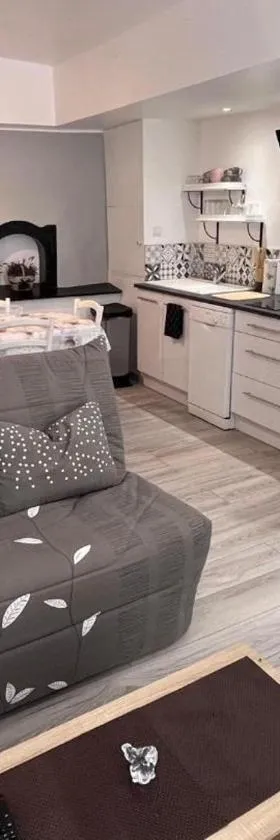 charmant appartement 4 personnes，位于泰克河畔阿尔莱的酒店