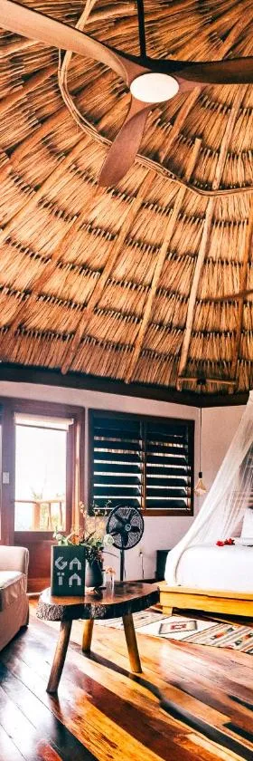 Gaia Riverlodge，位于圣伊格纳西奥的酒店
