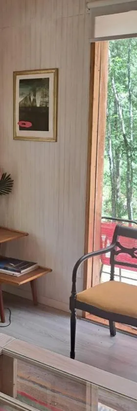 Cabañas Flamingo，位于普孔的酒店