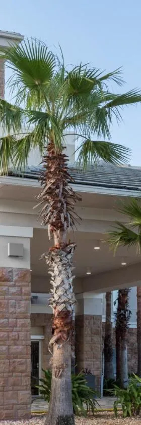 Holiday Inn Express & Suites. by IHG，位于Fleming Island的酒店