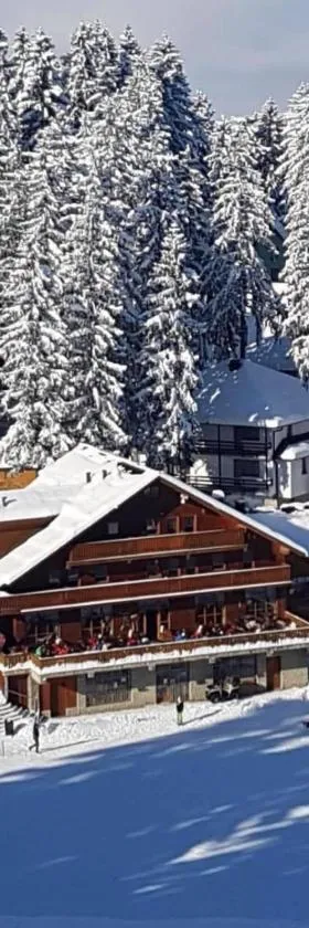 Pansion Vlašić Ski，位于Šišava的酒店