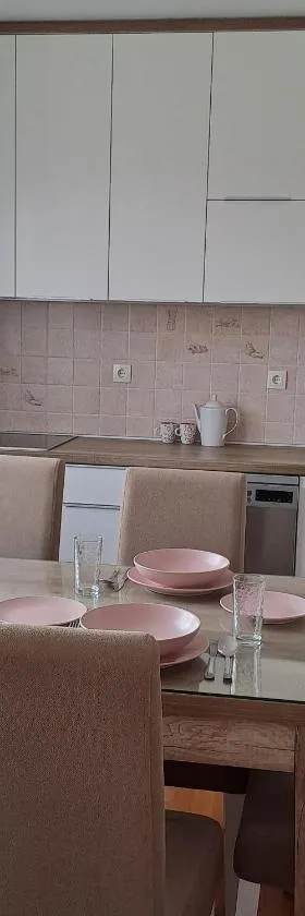 Apartman Burinović，位于Temerin的酒店
