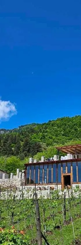 Korenishuli Veranda Wine Hotel 40 km from Tsageri，位于Tsʼageri的酒店