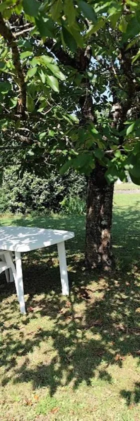 Jolie chambre indépendante avec salle d'eau privée，位于Mornac的酒店