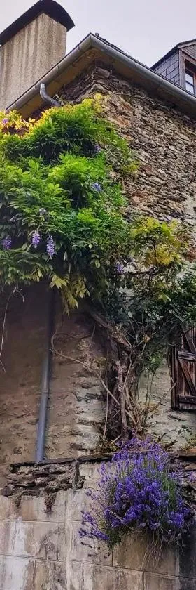 格兰奇生态旅馆，位于Fos的酒店