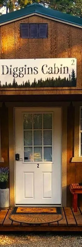 Diggins Cabin 2，位于O'Brien的酒店