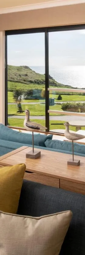 Soar Mill Cove Hotel，位于Soar的酒店