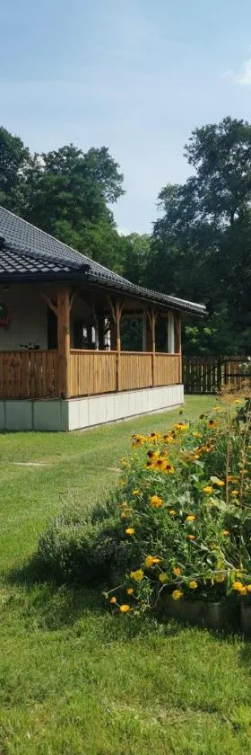 Siedlisko pod Orzechem，位于Przyłęk的酒店