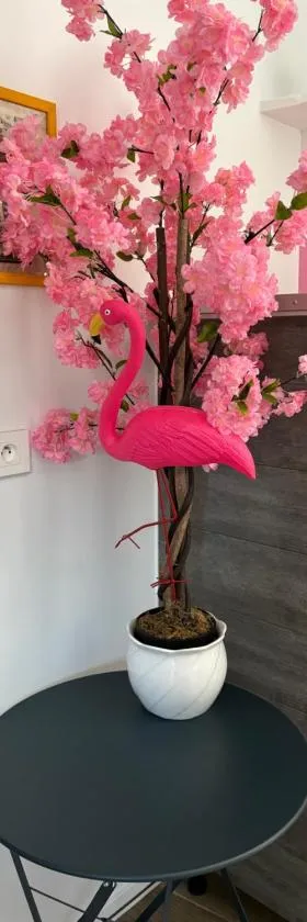 maison pink flamingo aeroport tillé 2 a 4 personnes，位于Tillé的酒店