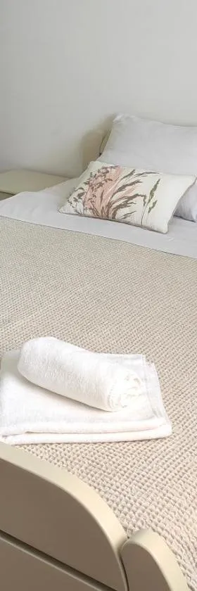 Orient Apartman，位于Sremska Kamenica的酒店