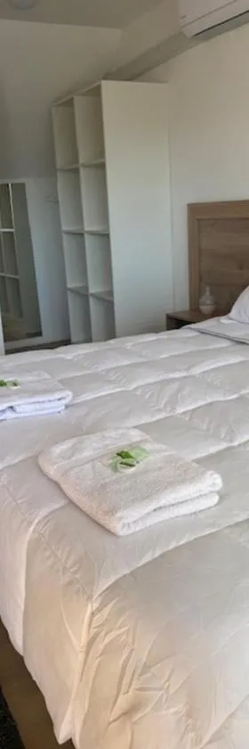 Casa Parral Hostal，位于卡萨布兰卡的酒店