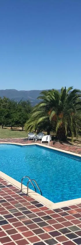 Quinta de Moçamedes - Turismo de Habitação，位于沃泽拉的酒店