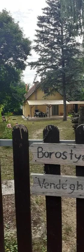 Borostyán Vendégház，位于Tiszaug的酒店