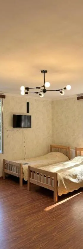Evergreen Surami Hotel，位于Surami的酒店