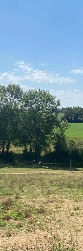 chambre d'hôtes des roseaux，位于La Forêt-sur-Sèvre的酒店