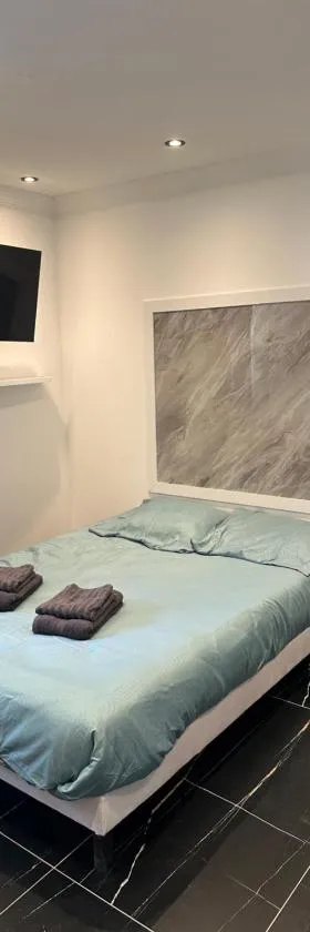 Appartement t1 aiguebelle，位于Randens的酒店
