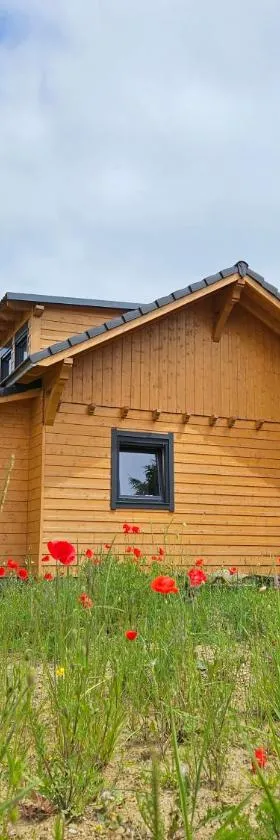 Gîte nature en Alsace Bossue，位于Asswiller的酒店