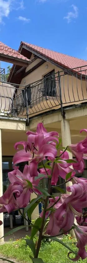 Villa Dolce Vita，位于姆热日诺的酒店