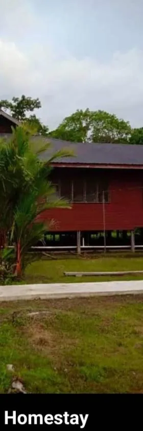 Mulu Tribal Homestay，位于姆鲁的酒店