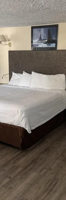 游猎汽车旅馆，位于尼法的酒店
